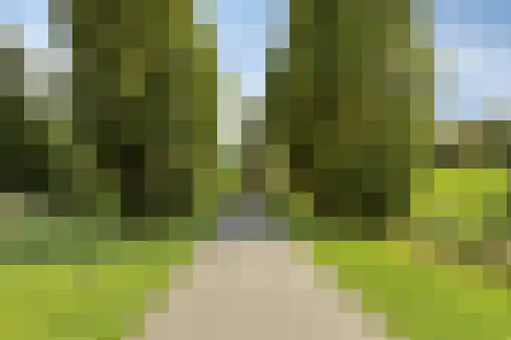 Marketentsterlaan 17 De Meern thumbnail 32