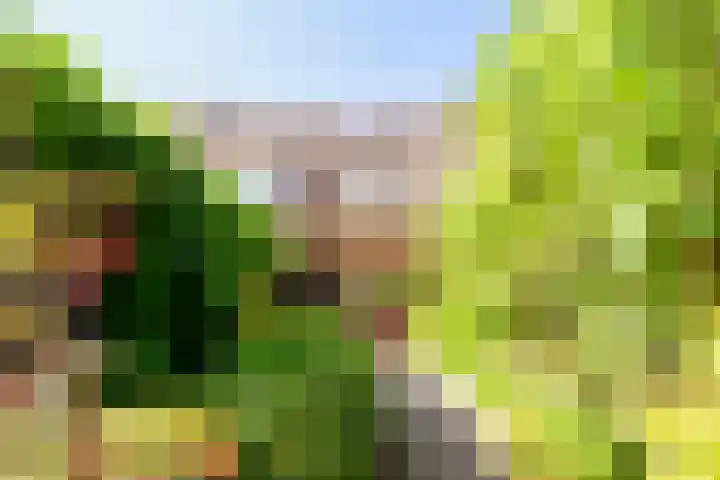 Marketentsterlaan 43 De Meern thumbnail 15