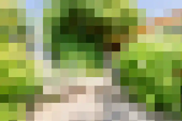 Marketentsterlaan 43 De Meern thumbnail 16