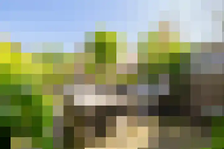 Marketentsterlaan 43 De Meern thumbnail 21