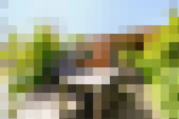 Marketentsterlaan 43 De Meern thumbnail 22