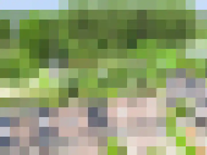 Marketentsterlaan 43 De Meern thumbnail 39