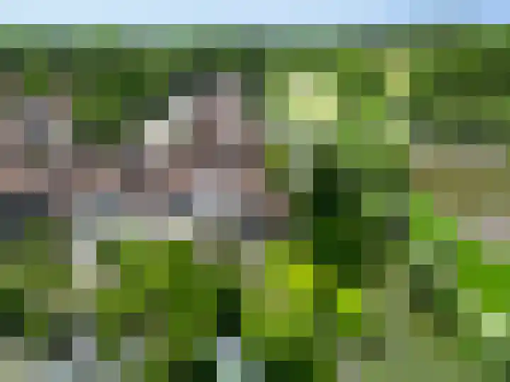 Marketentsterlaan 43 De Meern thumbnail 40