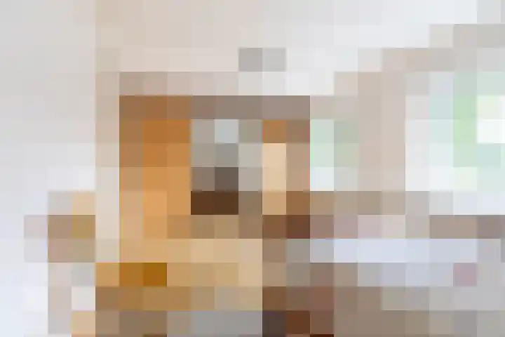 Markeweg 1 Annen thumbnail 29
