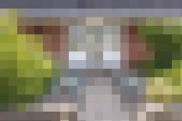 Markeweg 1 Annen thumbnail 4