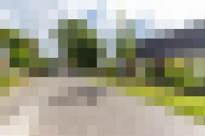Markeweg 1 Annen thumbnail 41