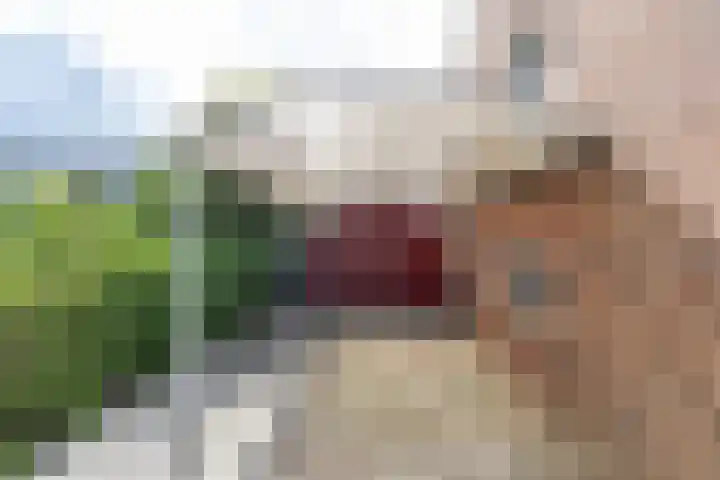 Markeweg 1 Annen thumbnail 6