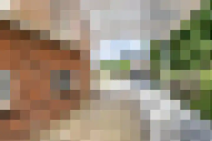 Markeweg 1 Annen thumbnail 7