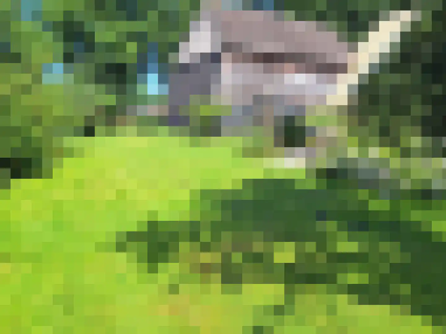 Markeweg 1 Zwinderen thumbnail 56