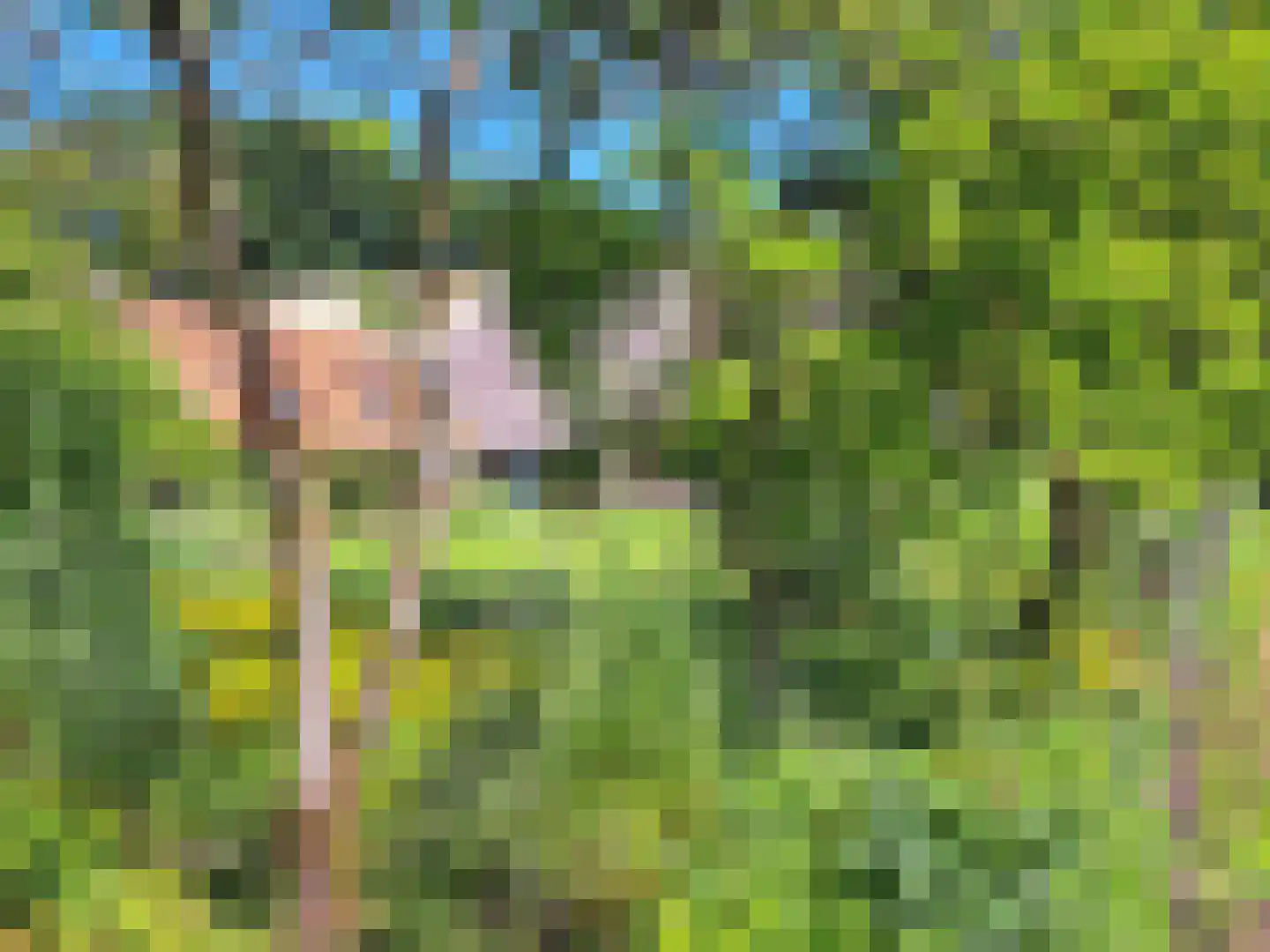 Markeweg 1 Zwinderen thumbnail 65