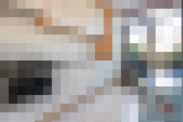 Markeweg 10 Raalte thumbnail 14