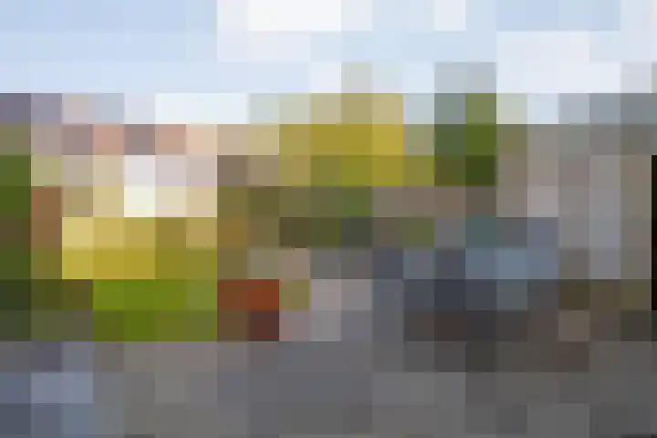 Markeweg 10 Raalte thumbnail 30