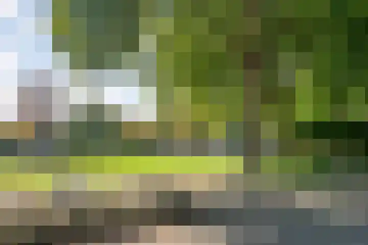 Markeweg 10 Raalte thumbnail 34