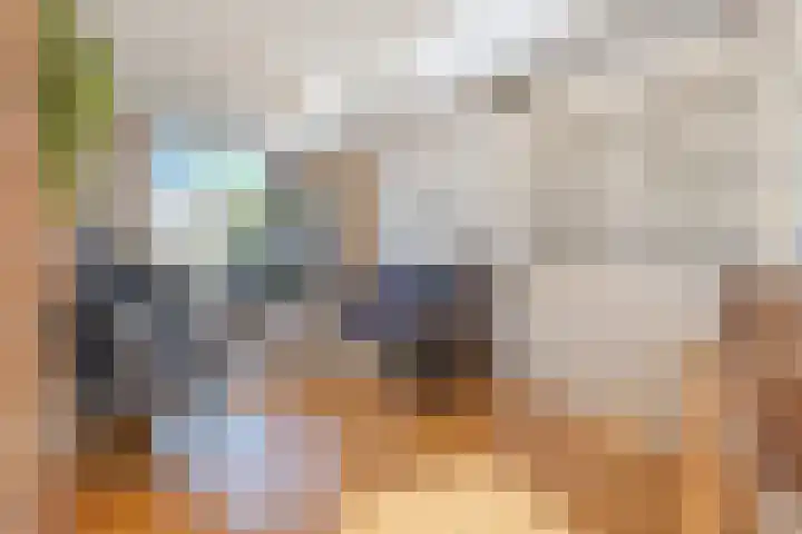 Markeweg 10 Raalte thumbnail 9