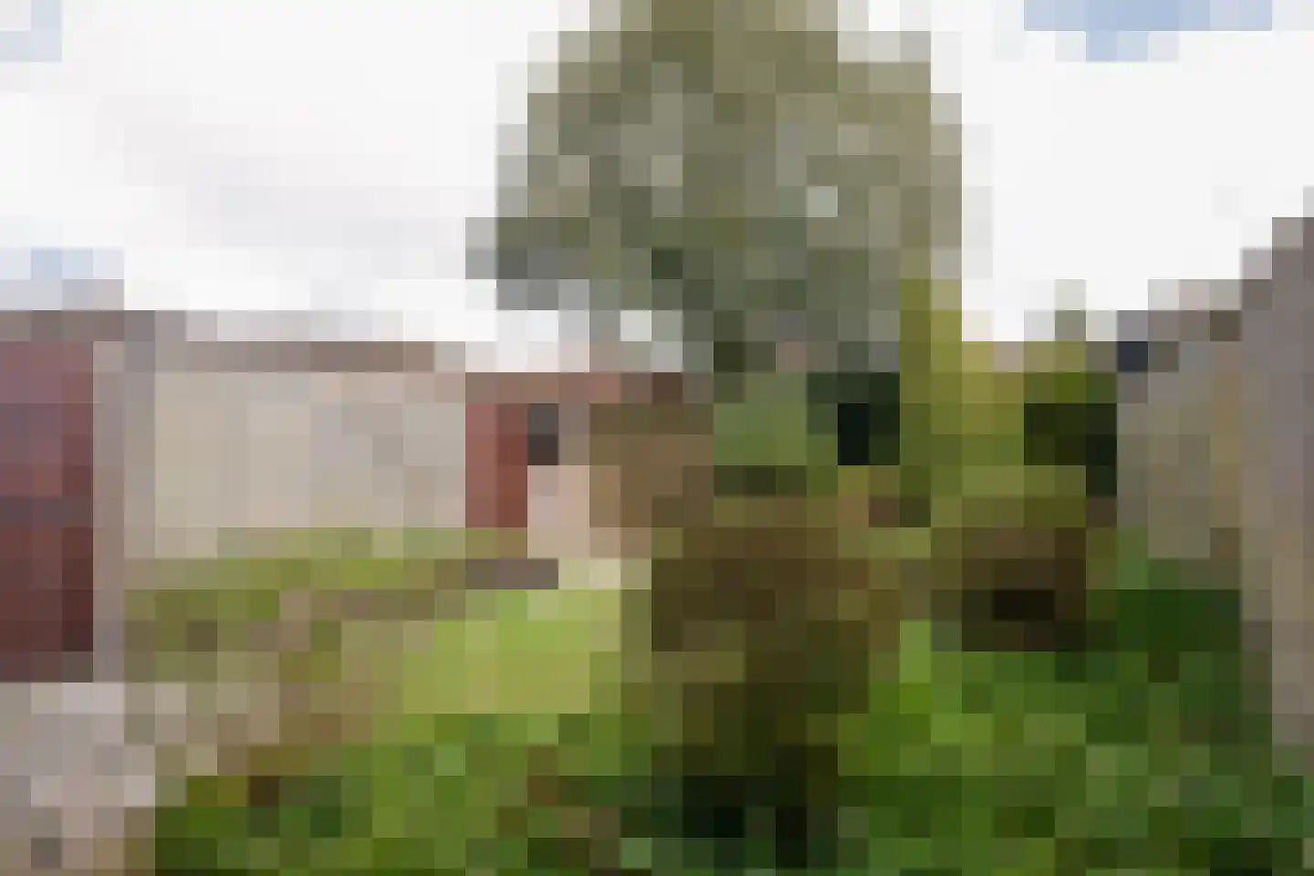 Markeweg 101 Losser thumbnail 26