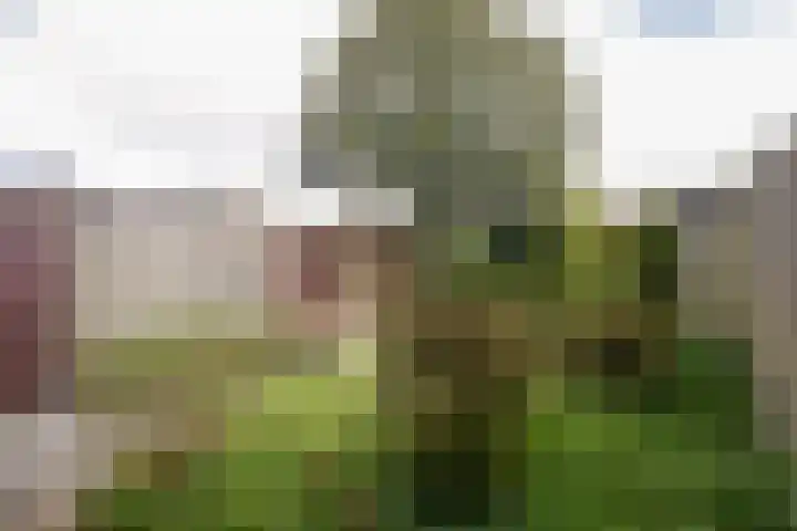 Markeweg 101 Losser thumbnail 26