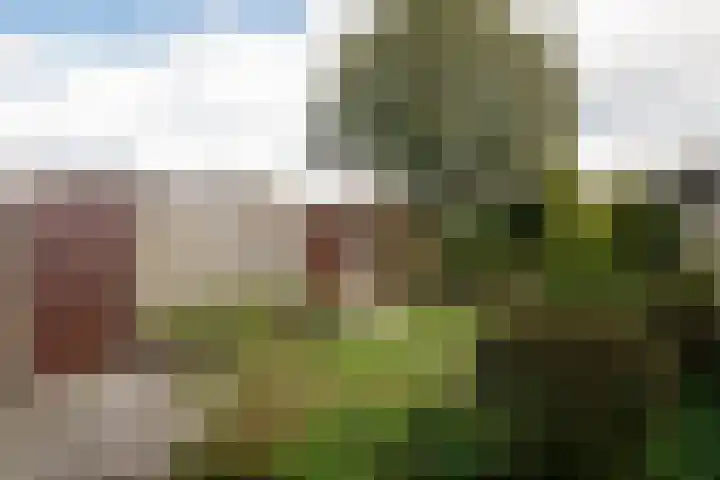 Markeweg 101 Losser thumbnail 27
