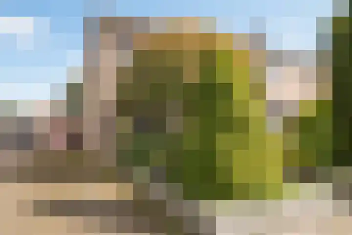 Markeweg 101 Losser thumbnail 5