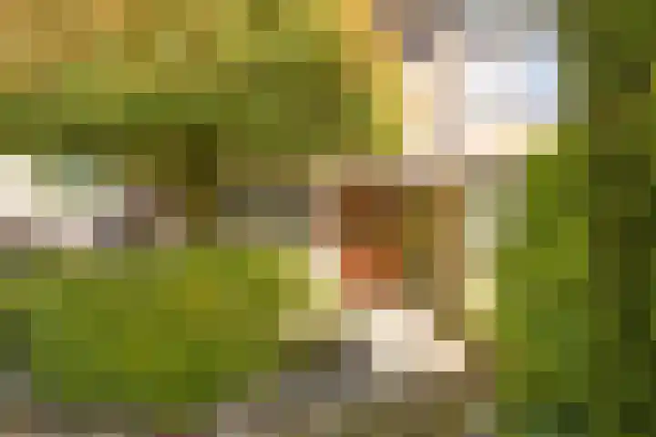 Markeweg 101 Losser thumbnail 6