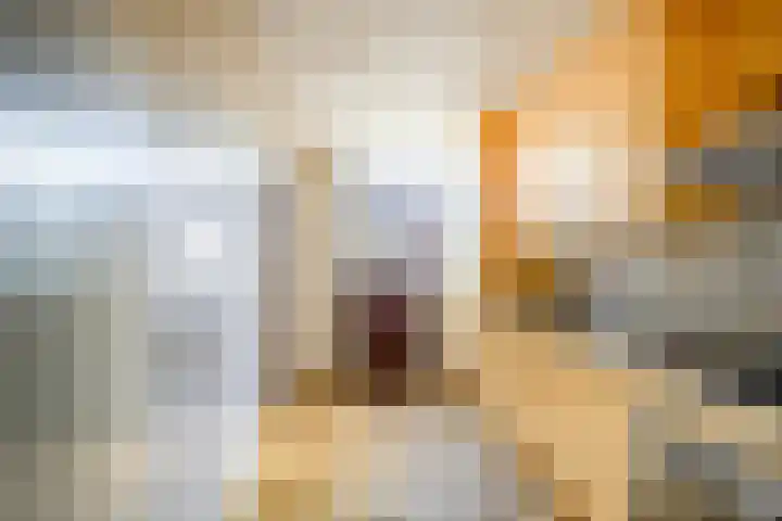 Markeweg 101 Losser thumbnail 9