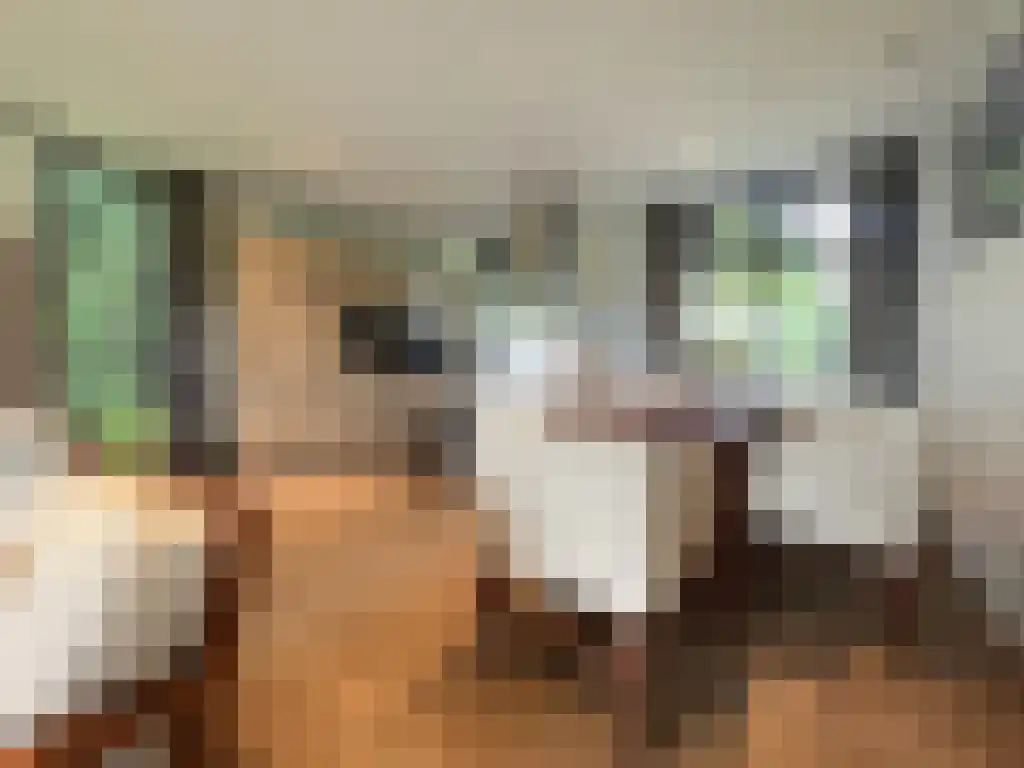 Markeweg 12 Dalfsen thumbnail 5