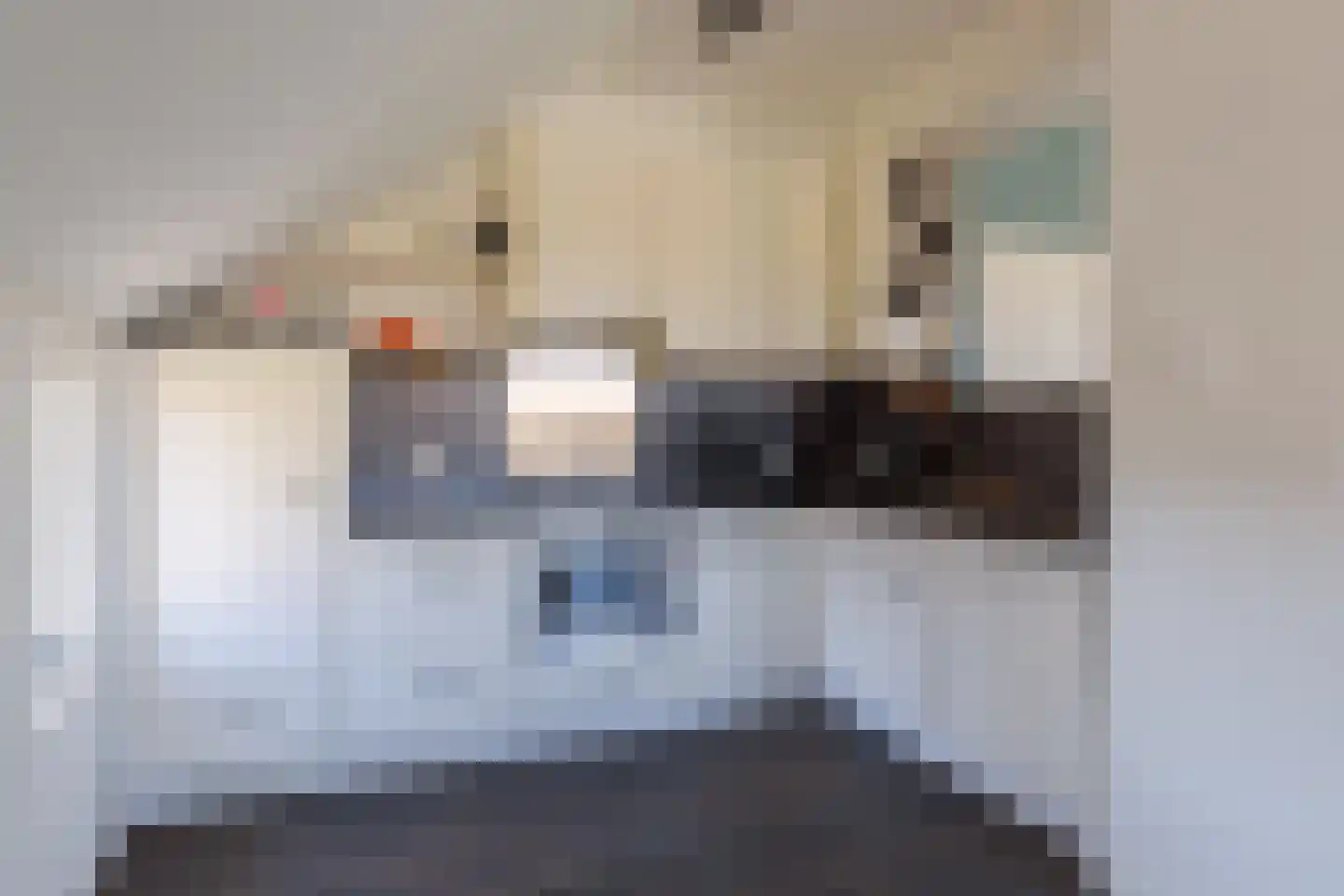 Markeweg 129 Blesdijke thumbnail 16