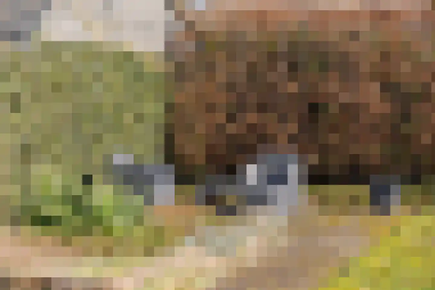 Markeweg 129 Blesdijke thumbnail 37