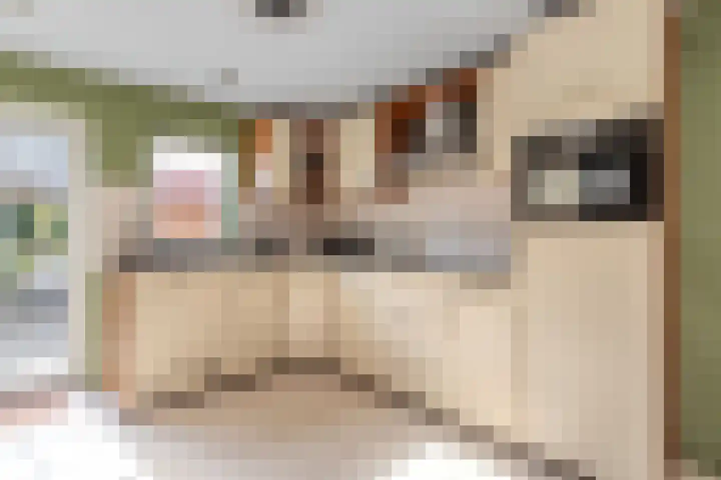 Markeweg 138 Ter Apel thumbnail 18