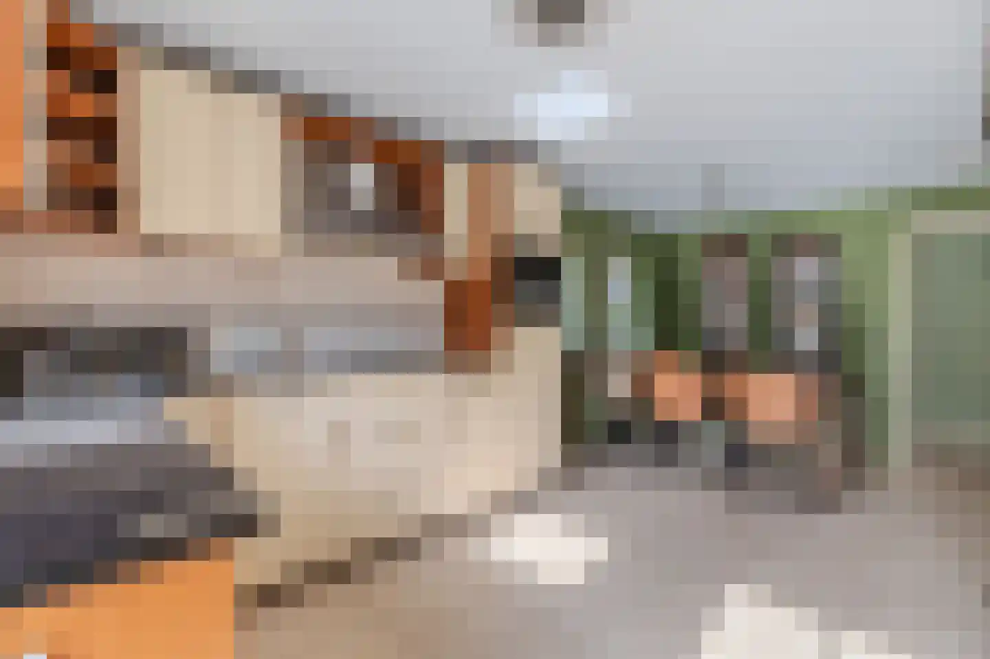 Markeweg 138 Ter Apel thumbnail 19