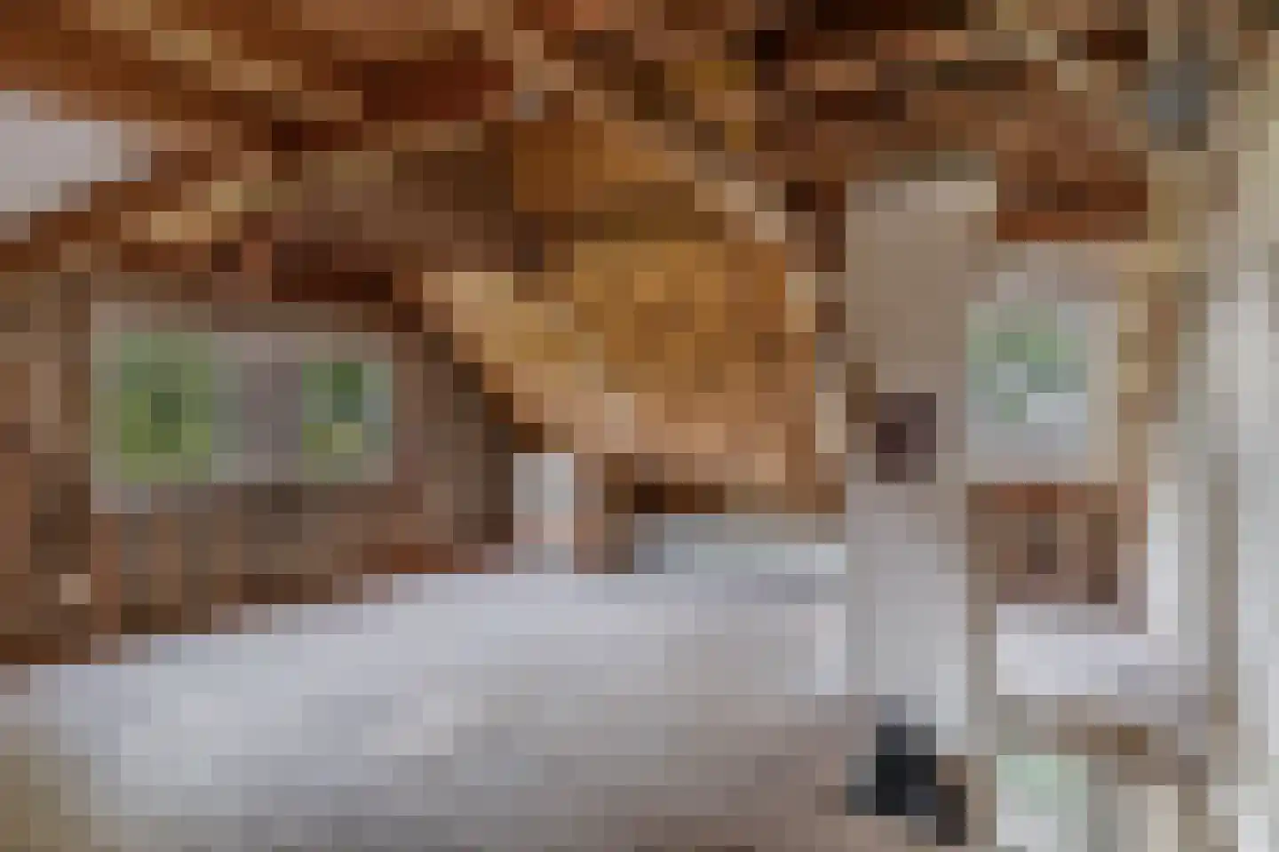 Markeweg 138 Ter Apel thumbnail 25