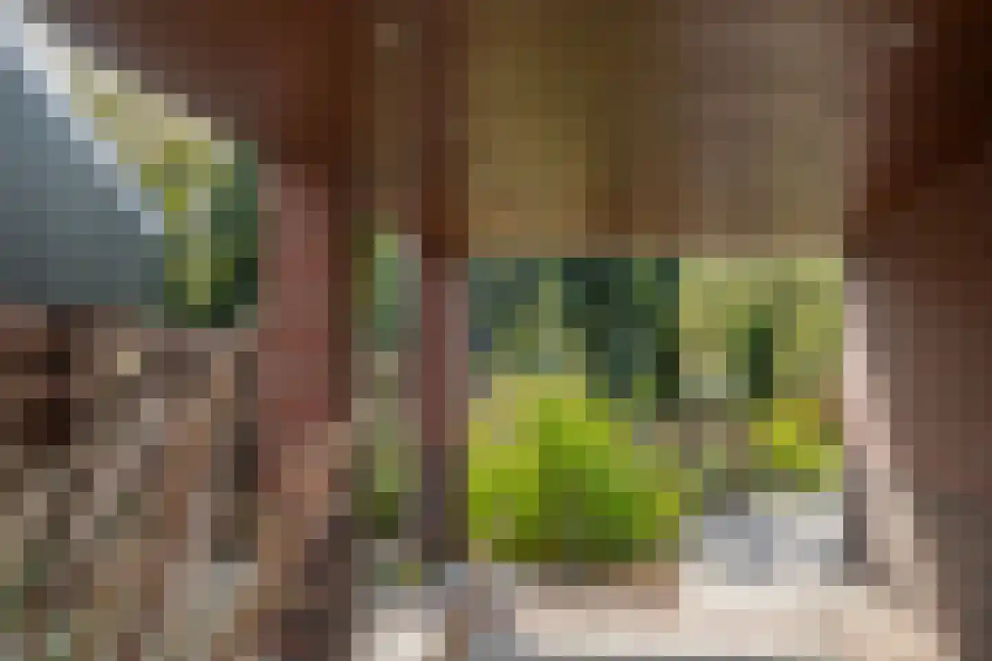 Markeweg 138 Ter Apel thumbnail 31