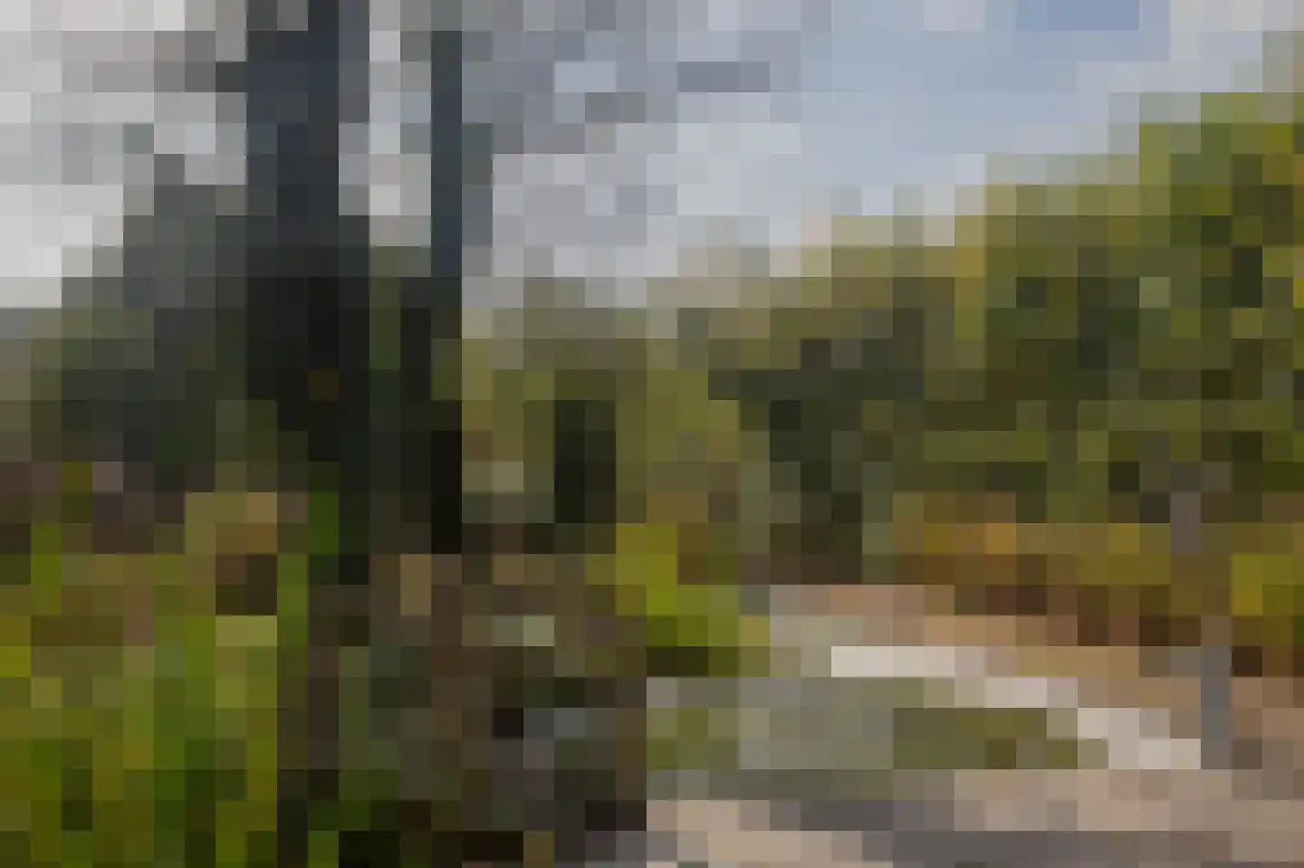 Markeweg 138 Ter Apel thumbnail 32