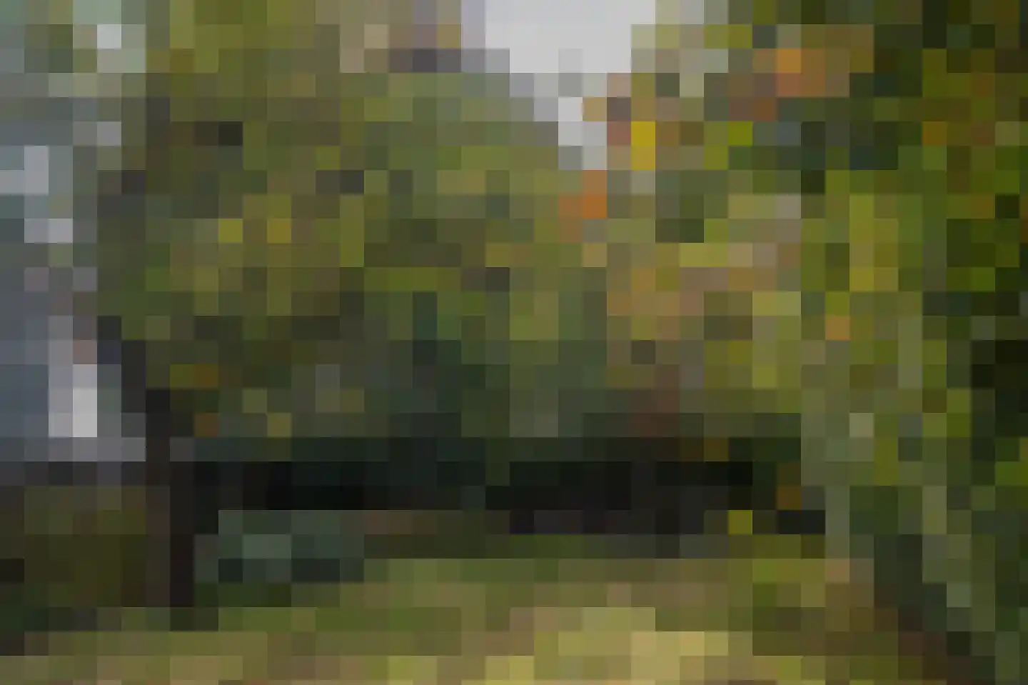 Markeweg 138 Ter Apel thumbnail 33