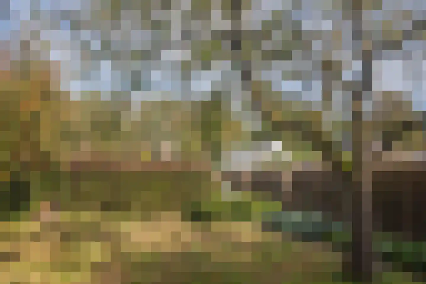 Markeweg 138 Ter Apel thumbnail 34
