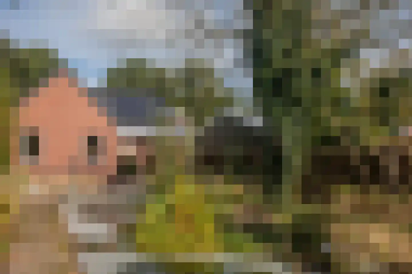 Markeweg 138 Ter Apel thumbnail 4