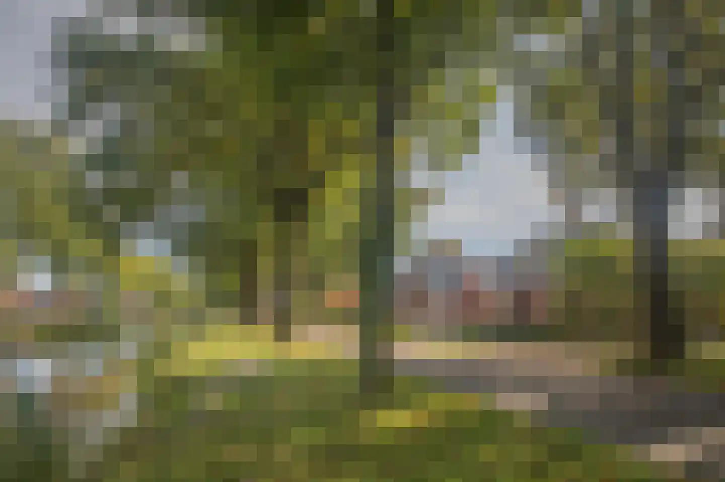 Markeweg 138 Ter Apel thumbnail 8