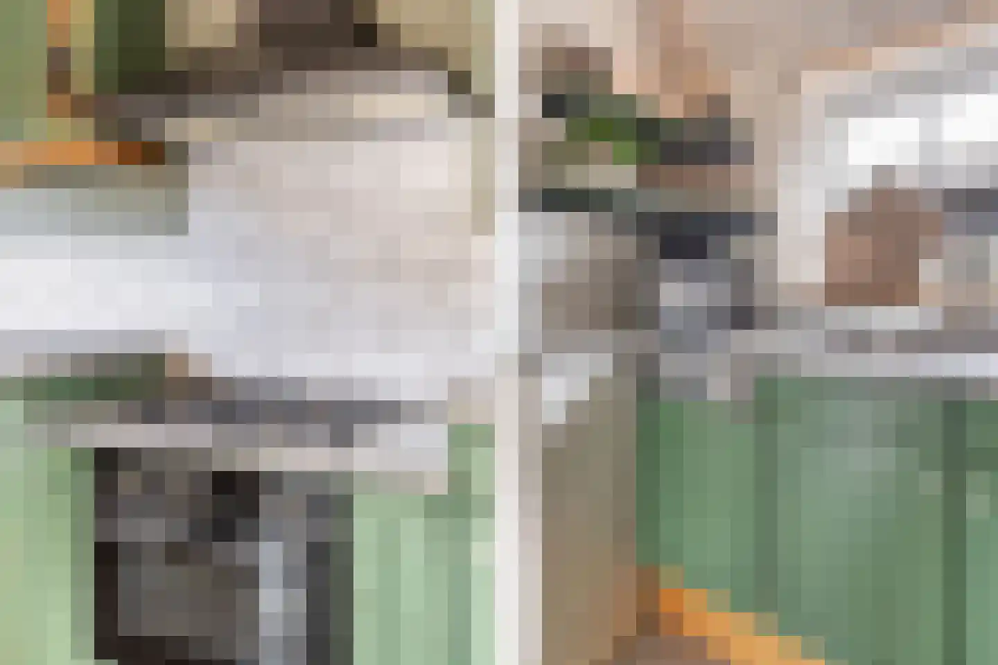 Markeweg 15 Noord-Sleen thumbnail 11