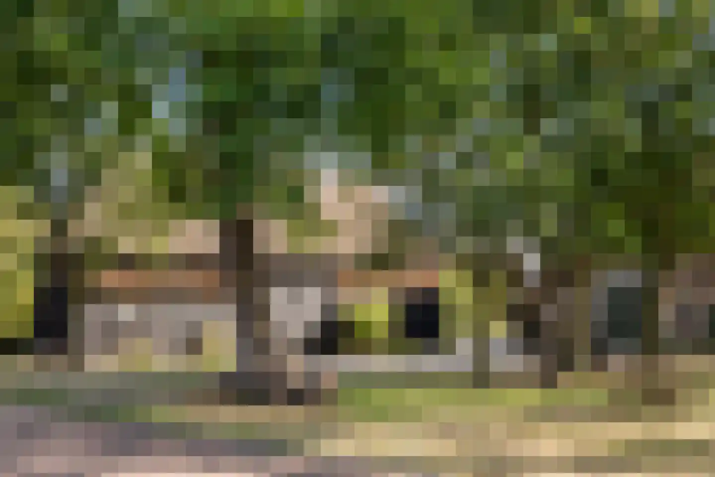 Markeweg 15 Noord-Sleen thumbnail 46