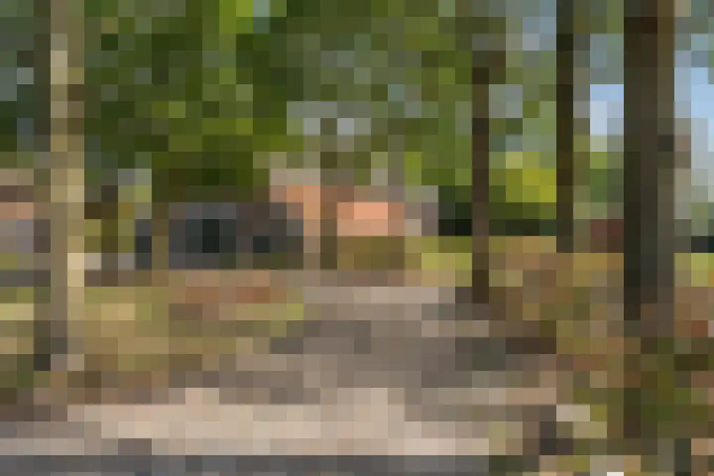 Markeweg 15 Noord-Sleen thumbnail 47