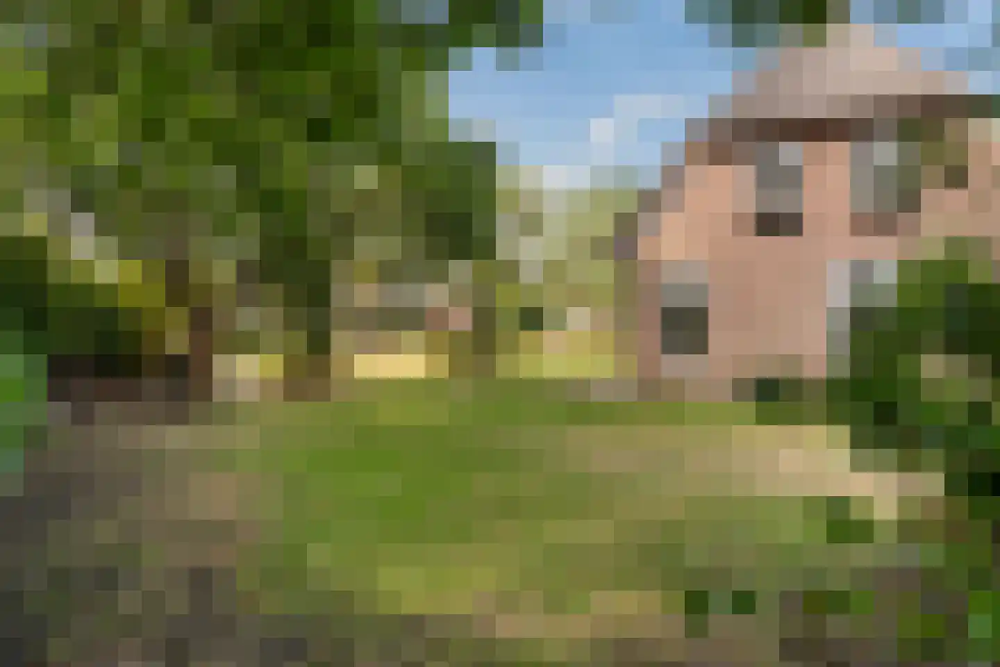 Markeweg 15 Noord-Sleen thumbnail 52