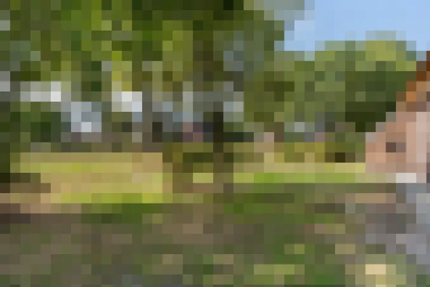 Markeweg 15 Noord-Sleen thumbnail 54