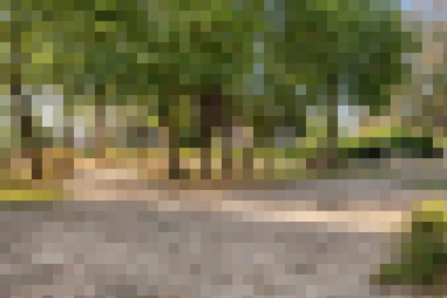 Markeweg 15 Noord-Sleen thumbnail 55