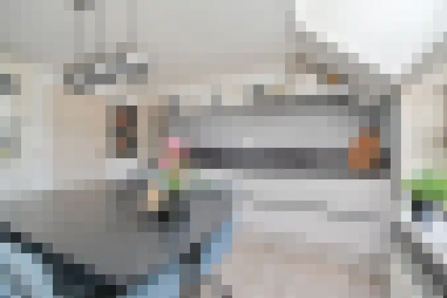 Markeweg 154 Ter Apel thumbnail 29