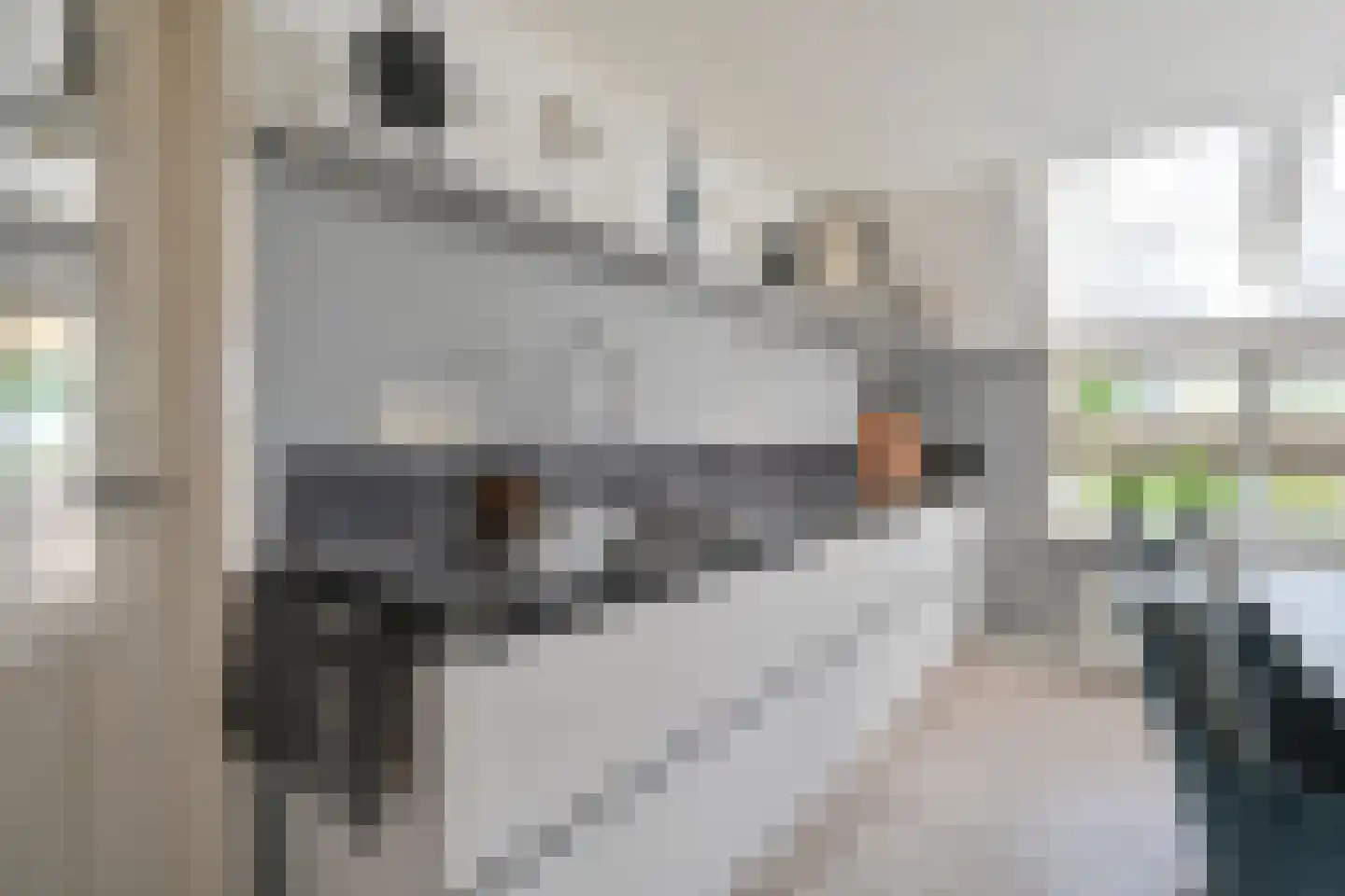 Markeweg 154 Ter Apel thumbnail 32