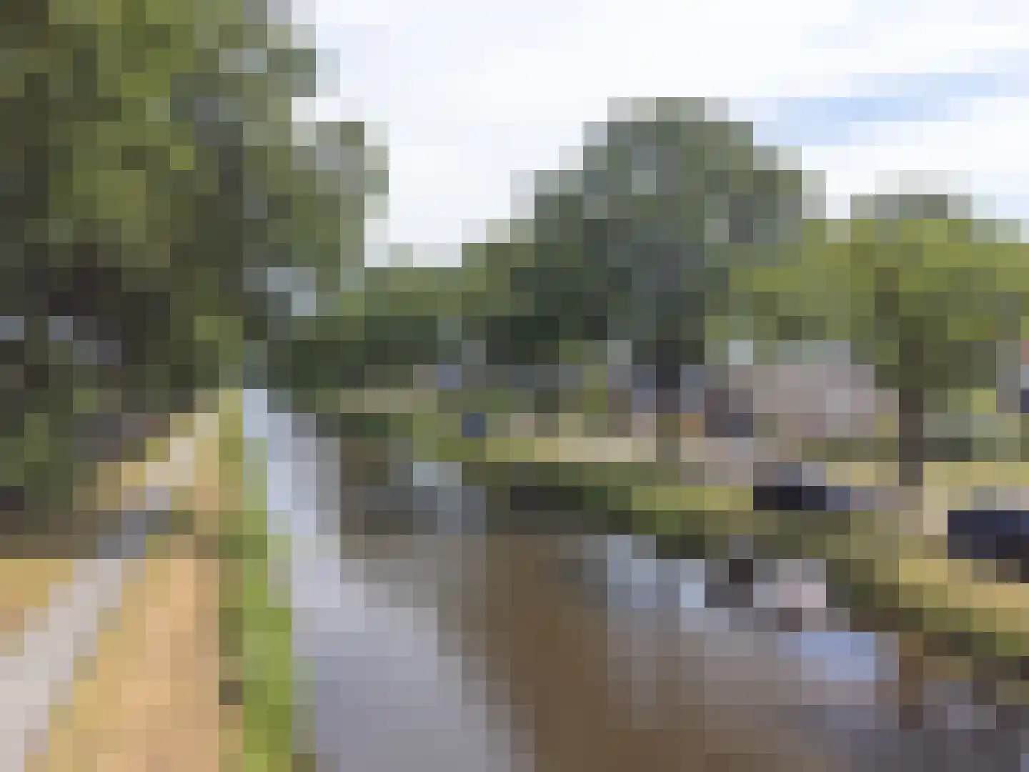 Markeweg 154 Ter Apel thumbnail 5
