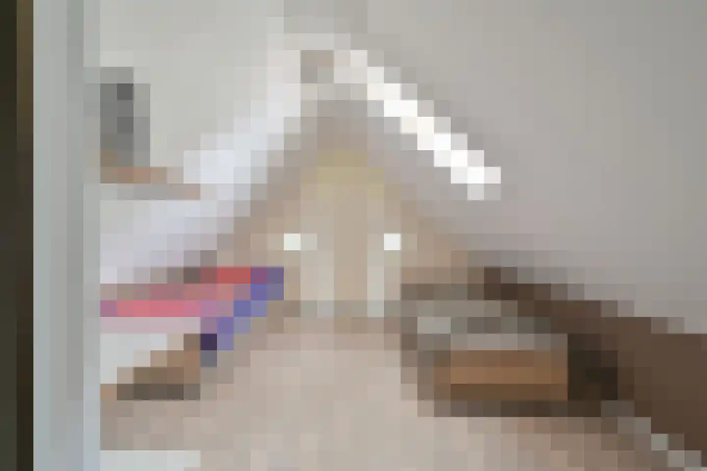 Markeweg 154 Ter Apel thumbnail 57