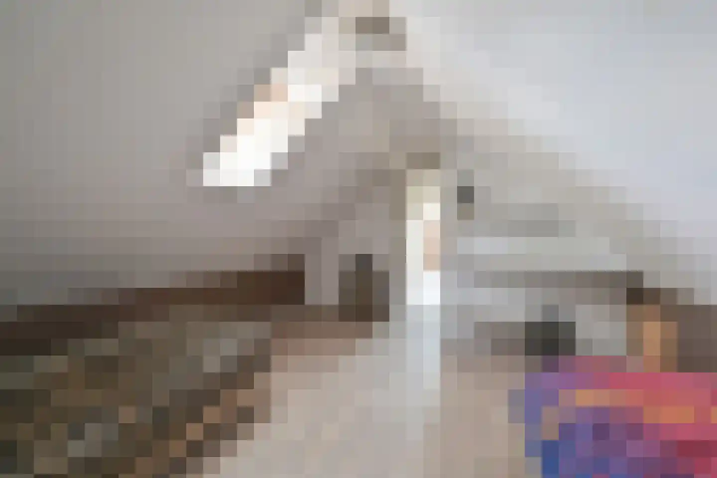 Markeweg 154 Ter Apel thumbnail 58