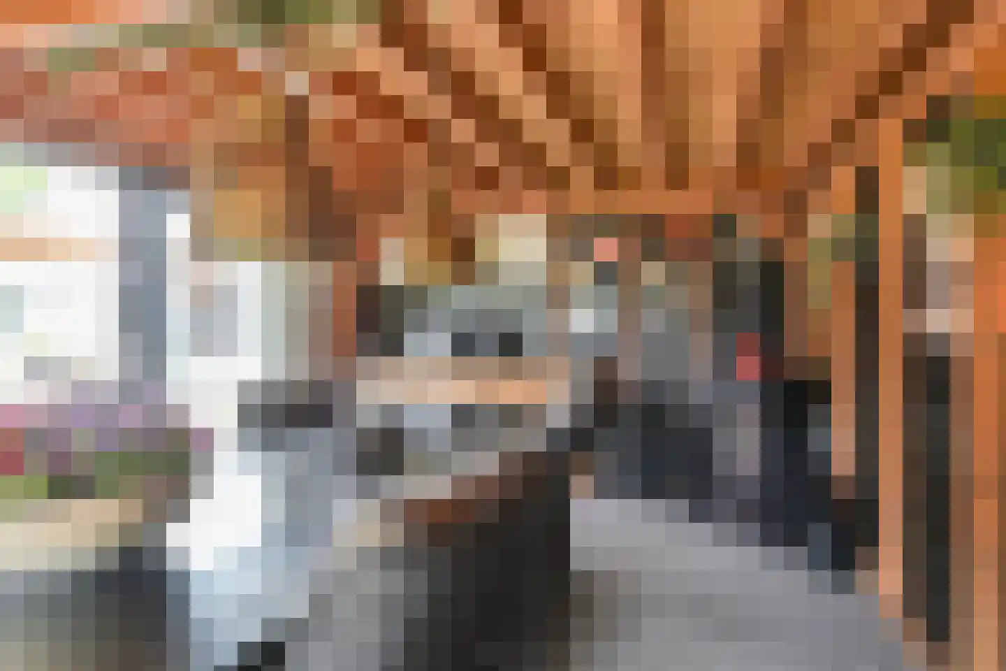 Markeweg 154 Ter Apel thumbnail 65