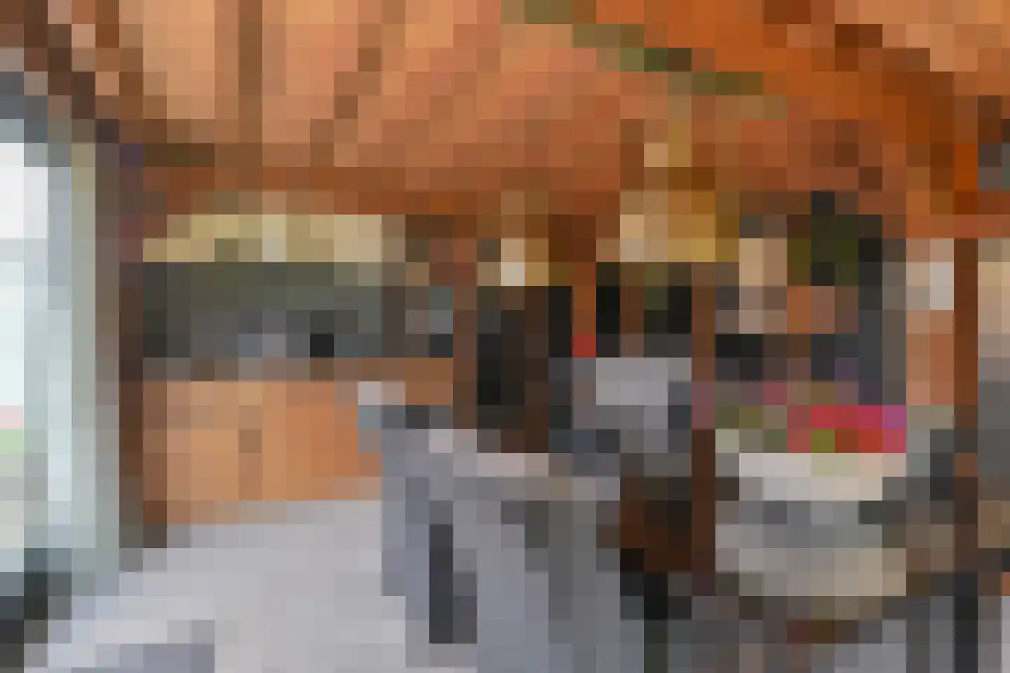 Markeweg 154 Ter Apel thumbnail 66