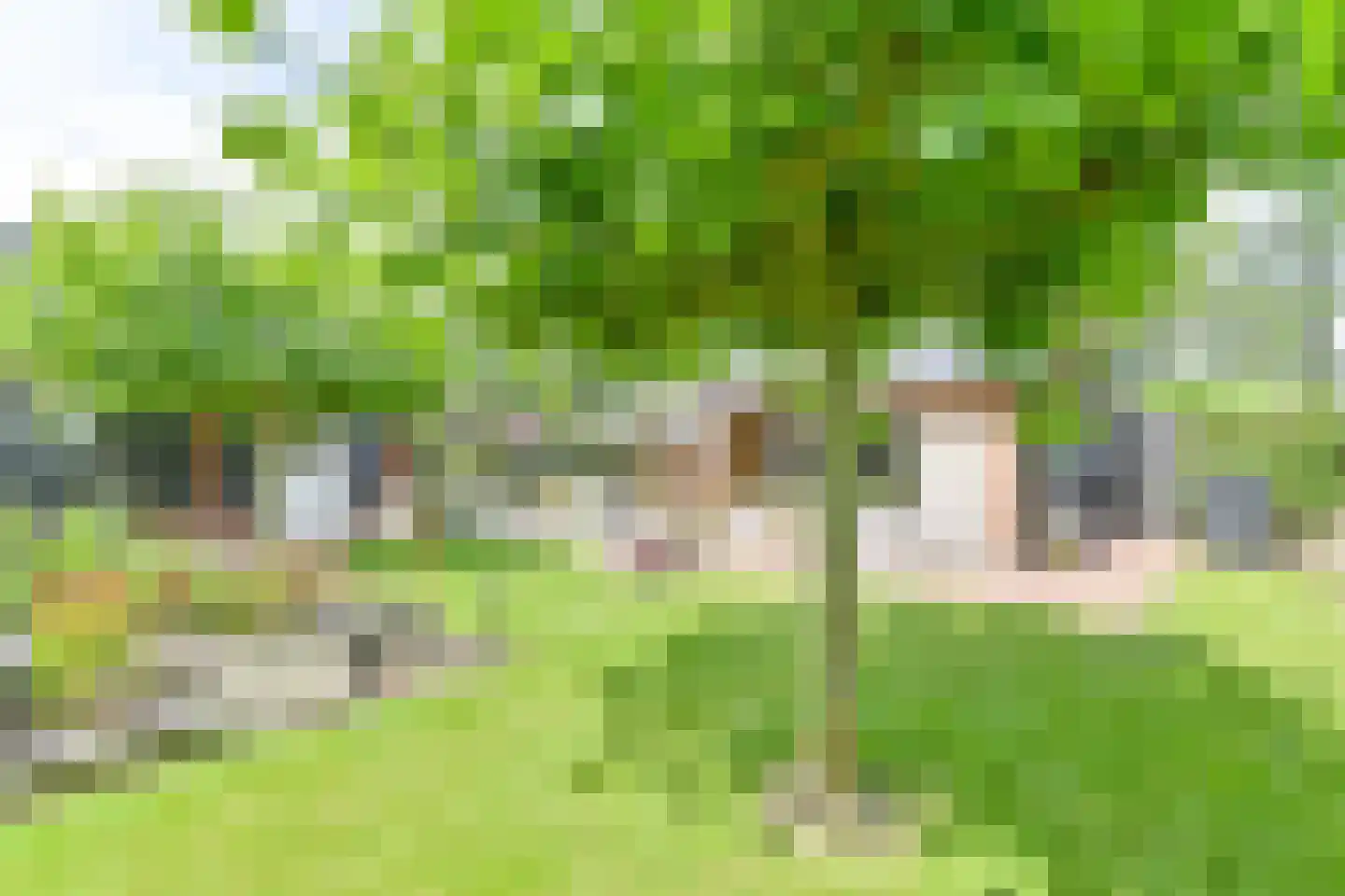 Markeweg 154 Ter Apel thumbnail 73